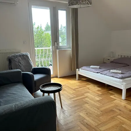 Lena Apartmanhaz アパート